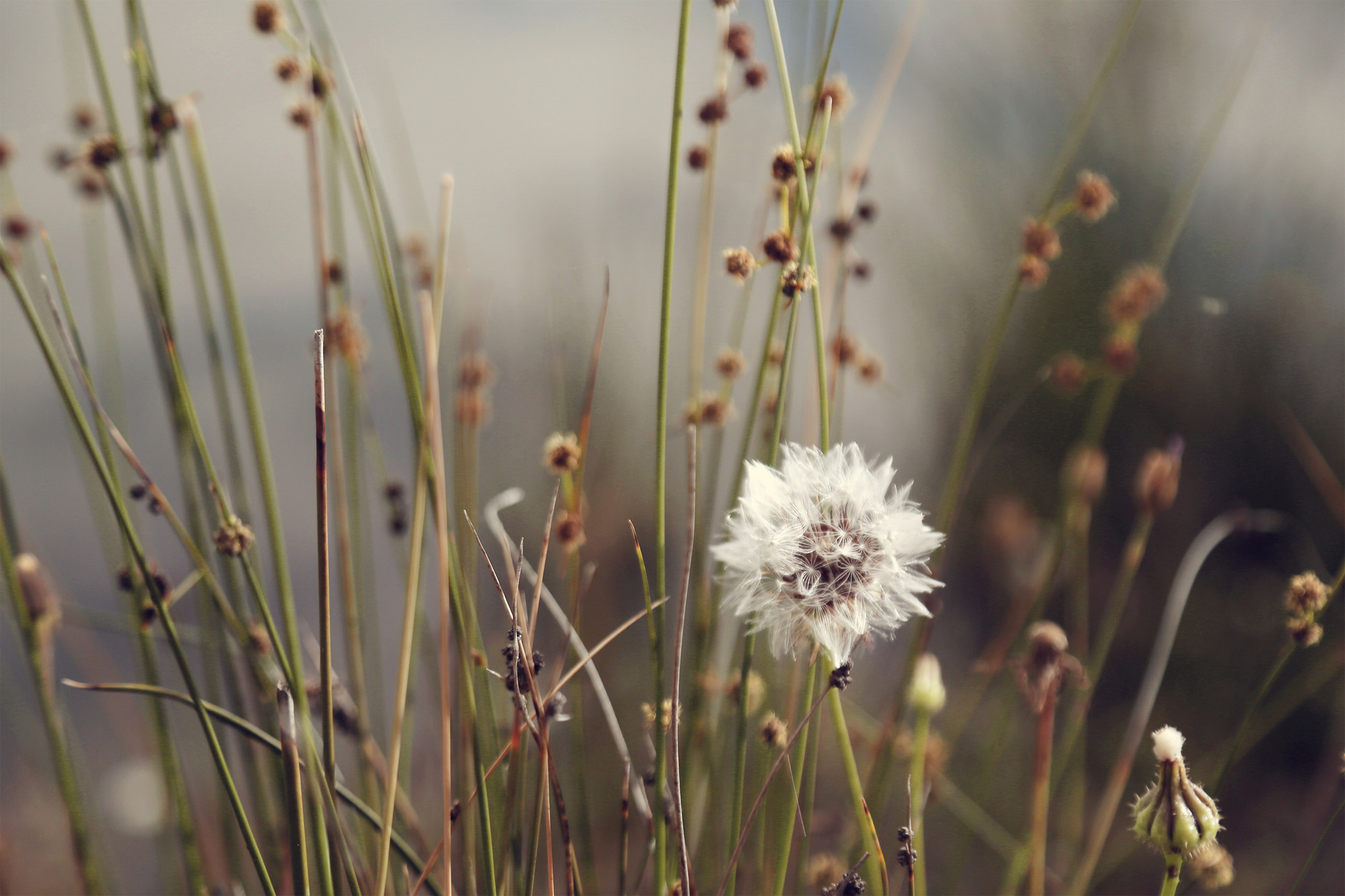 4714C6D2-1401-40BA-8484-17BC6503E635