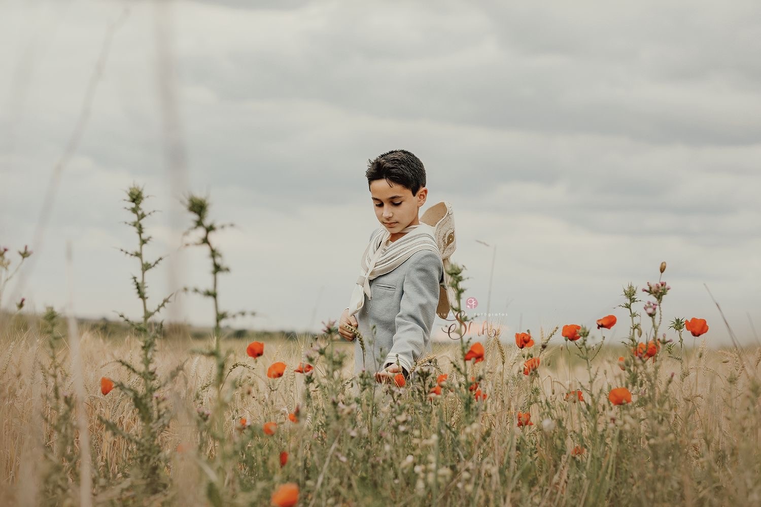 E2409873-6A55-4A81-9340-C74644ADE58C